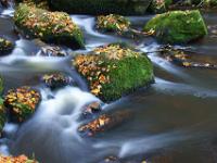 Der Höllbach umfließt einzelne Felsen